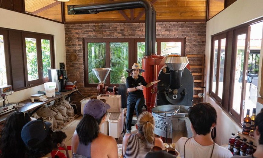 Image 9: Puerto Rico Coffee Plantation & Waterfall River Tour