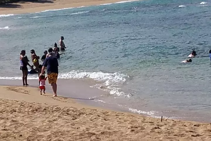 Ultimate Grand Oahu Circle Island Tour with Snorkeling and More