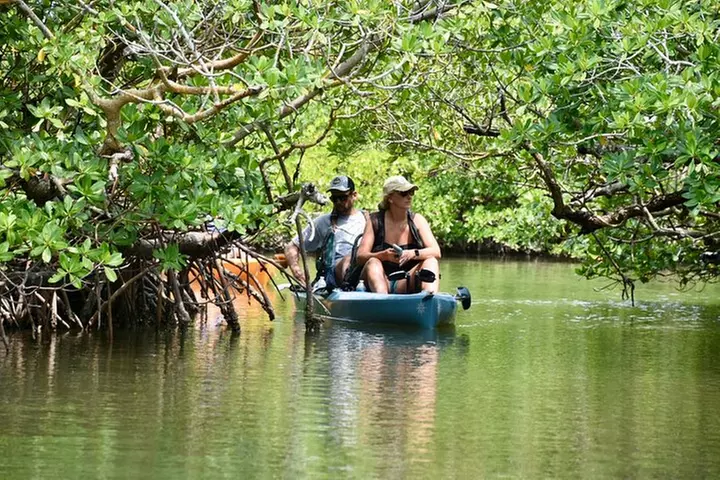 Exclusive Relax & Explore Pedal Kayak Tour Marco Island & Naples