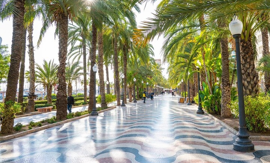 Image 8: Alicante Secreto: Tour de Tapas, Vinos y Rincones Ocultos