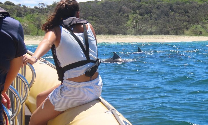 Image 9: Noosa Oceanrider Scenic Dolphin Safari