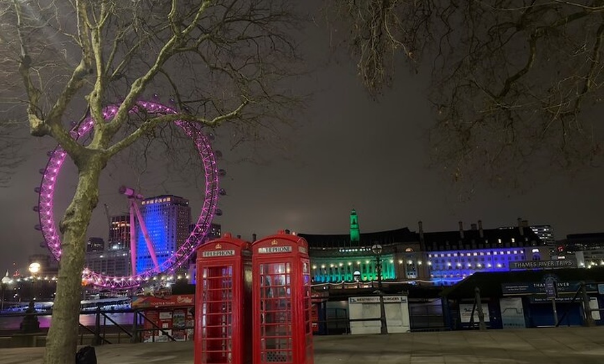 Image 3: Private Tour in London by Night