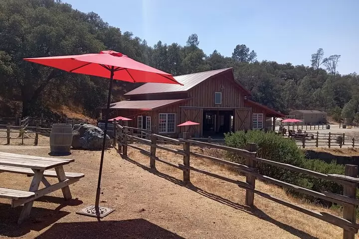 Sonoma Horseback-Riding Tour