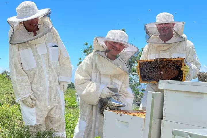 Honey Bee Adventure at the Maui Honey Bee Sanctuary - Primary Image