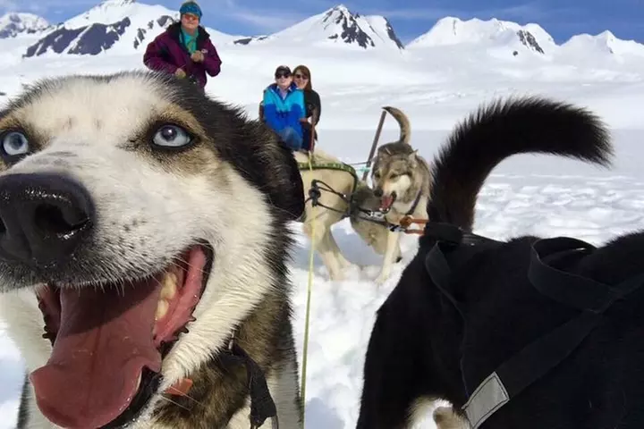 Alaska Helicopter and Glacier Dogsled Tour - ANCHORAGE AREA - Primary Image