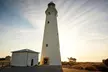 Rottnest Island All-Inclusive Grand Island Tour from Perth - Image 2