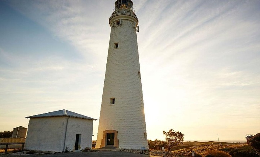 Image 7: Rottnest Island Bayseeker Day Trip from Perth