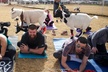 Goat and Alpaca Yoga in Arizona - Second Medium