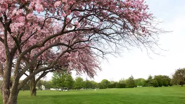 Online Booking - Round of Golf at Bowling Green Country Club - Ohio - Primary Image