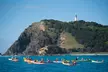 Kayaking with Dolphins in Byron Bay Guided Tour - Image 2