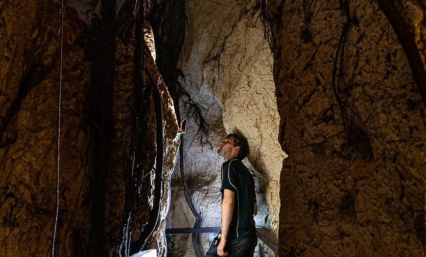 Image 9: Capricorn Caves Cathedral Cave Tour