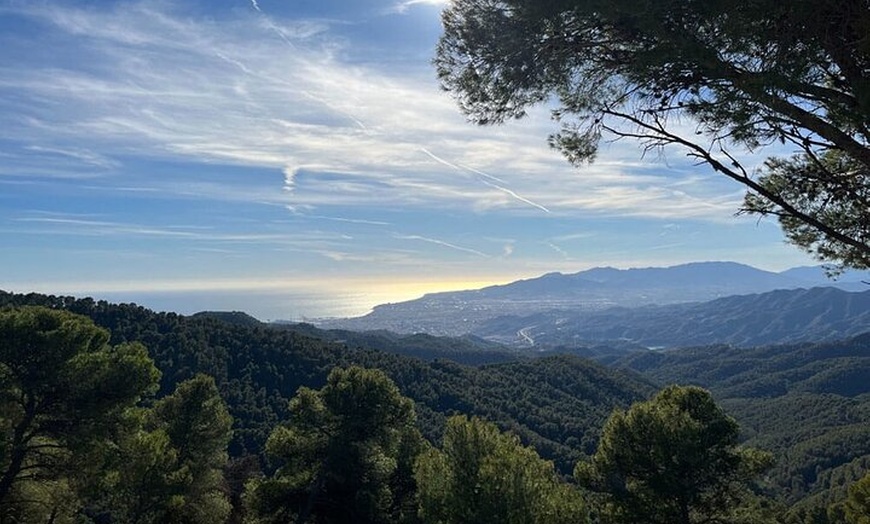 Image 2: Alquiler de bicicletas de montaña en Málaga