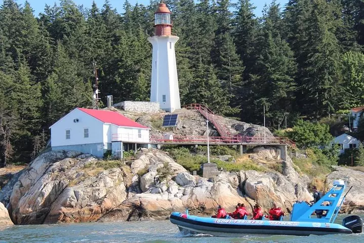 Vancouver City and Seals Scenic Boat Tour by Vancouver Water Adventures - Primary Image