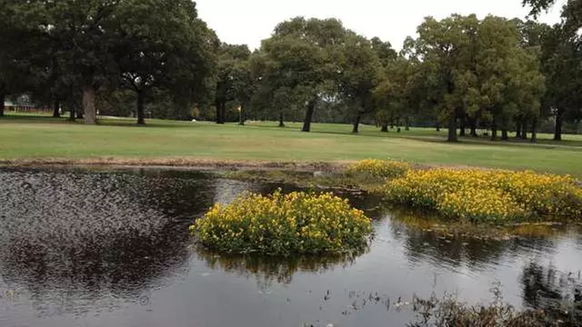 Online Booking - Round of Golf at Deer Run Golf Club - TX - Primary Image