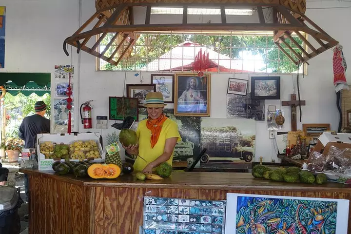 Little Havana Food and Walking Tour in Miami