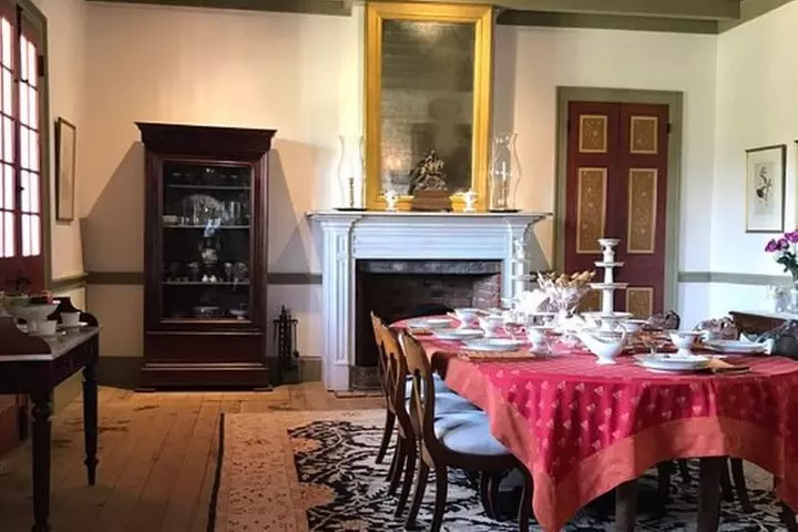 Oak Alley or Laura Plantation Tour from New Orleans