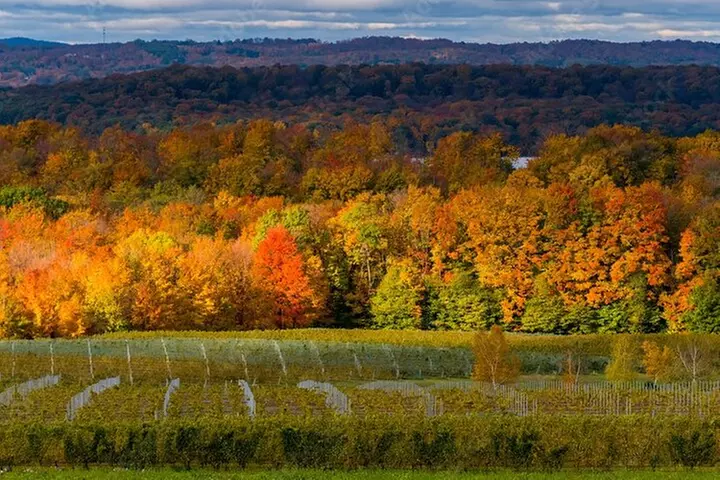 4-Hour Traverse City Sunset Wine Tour: 3 Wineries on Old Mission Pe...