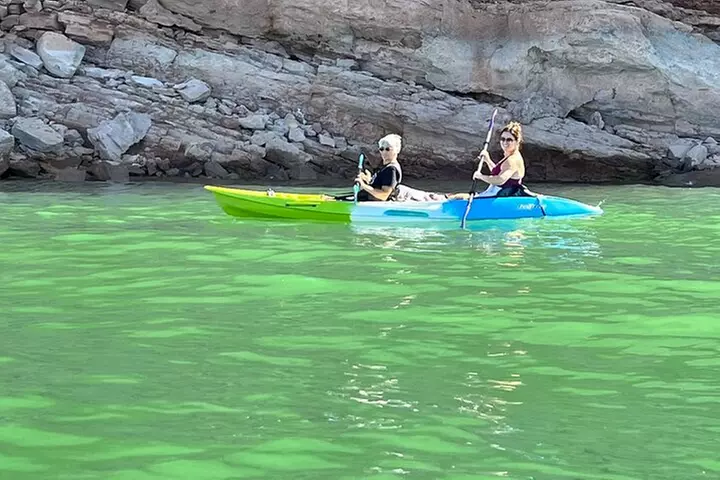 Kayak/SUP Tour: Birds, Beavers, Turtles, maybe even Cliff Jumping - Primary Image