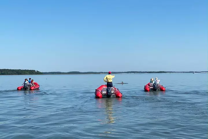 Hilton Head Guided Dolphin Watching & Sightseeing Tour via Mini Boat