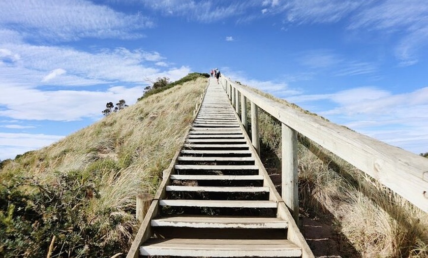 Image 9: Full-Day Guided Bruny Island Tour from Hobart