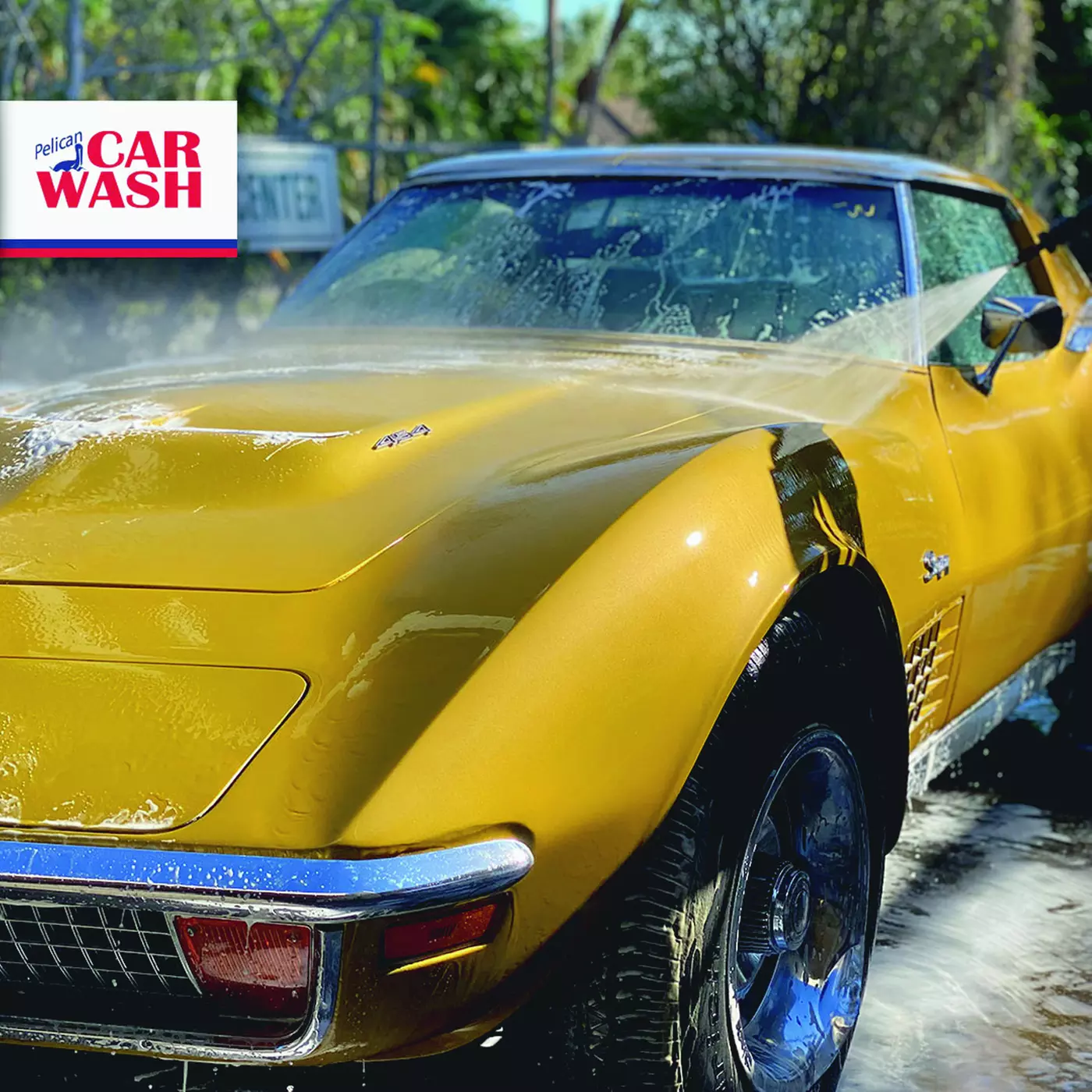 $26.93 For A 1 Month "Paddle Boat Package" Unlimited Car Wash (Reg. $53.85) - Second Medium