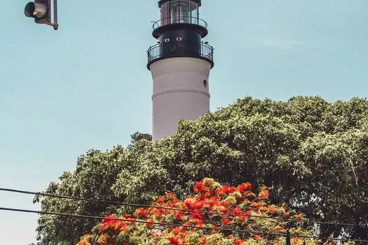 Full-Day Key West Tour and Coral Reef Snorkeling with Open Bar