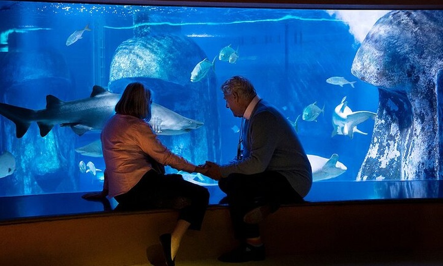 Image 8: Combo Ticket: Madame Tussauds & SEA LIFE London Aquarium