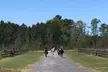 Small-Group Poplar Grove Plantation Horseback Ride in Ravenel - Second Medium