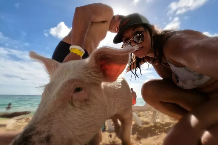 Ultimate SeaXscape Pigs/Turtles/Snorkel/Lunch/Drinks/PU/DO - Primary Image