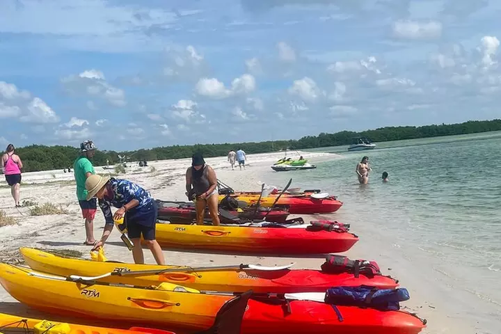 Exclusive Kayak Expedition: Exploring the Mangroves to Shell Key
