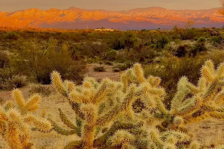 Stunning Sunset or Sunrise Guided Hiking Adventure in Phoenix
