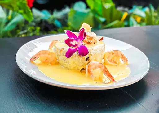 5% Cash Back at Estrella Latina Bar & Grill