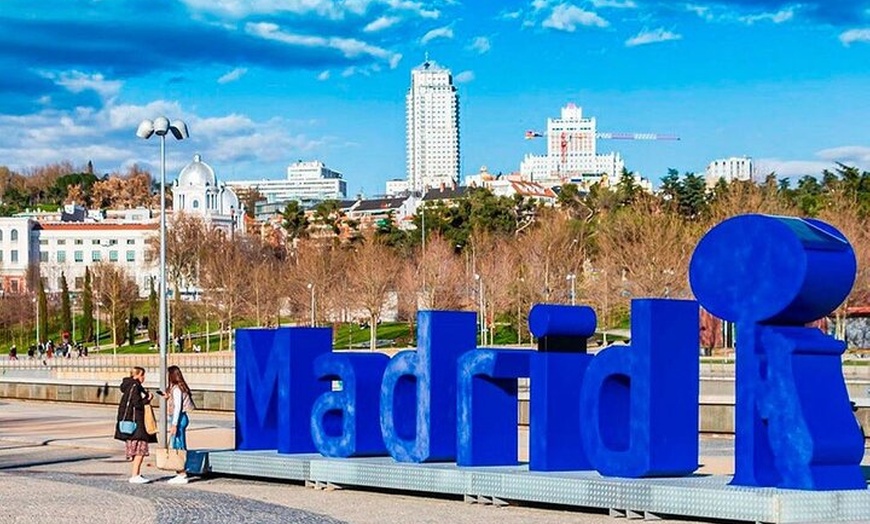 Image 2: Tour Privado de 4 horas en Madrid con conductor privado