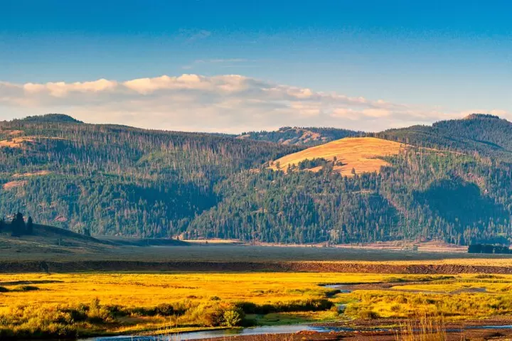 Yellowstone National Park Self-Guided Driving Audio Tour