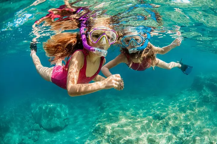 Turtle Snorkel Adventure from Waikiki, Oahu