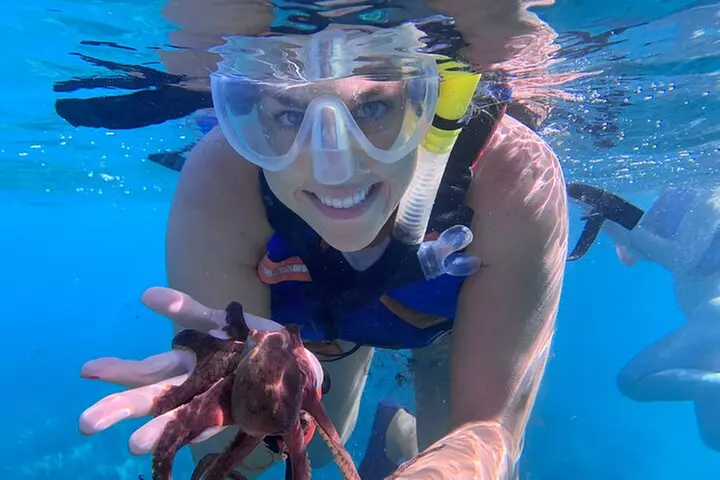Turtle Town Snorkel & Octopus Guided tour With Photo and Video