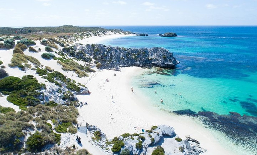 Image 3: Discover Rottnest with Ferry & Bus Tour