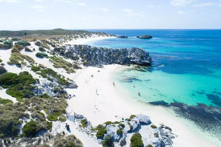 Discover Rottnest with Ferry & Bus Tour