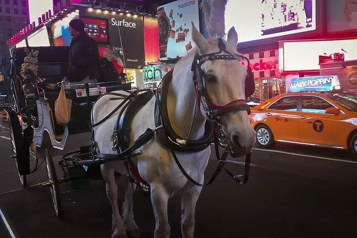 NYC Central Park & Rockefeller Center Private Horse Carriage Tour