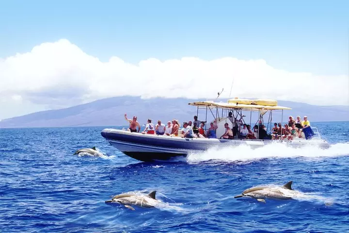 Maui's Best Lanai Snorkel and Dolphin Raft Adventure - Primary Image