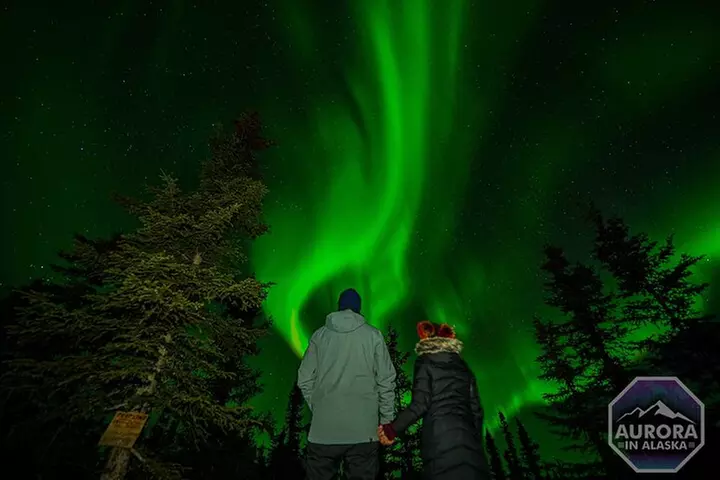 SkyChase™ Northern Lights Experience