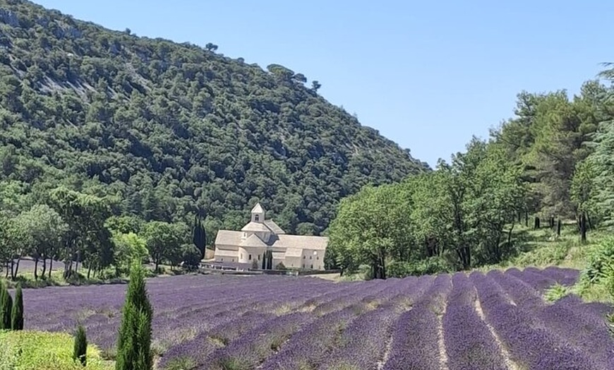 Image 5: Élégance provençale Huile d'olive de lavande et pistache