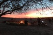 Las Vegas: Sunset VIP Camel Safari Tour Experience - Second Medium
