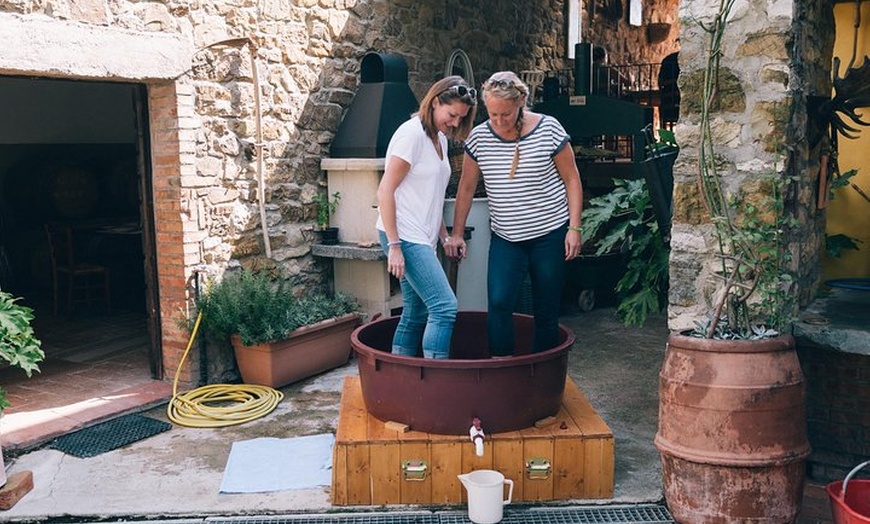 Image 2: Pigiatura dell'uva presso casolare toscano con partenza da Firenze