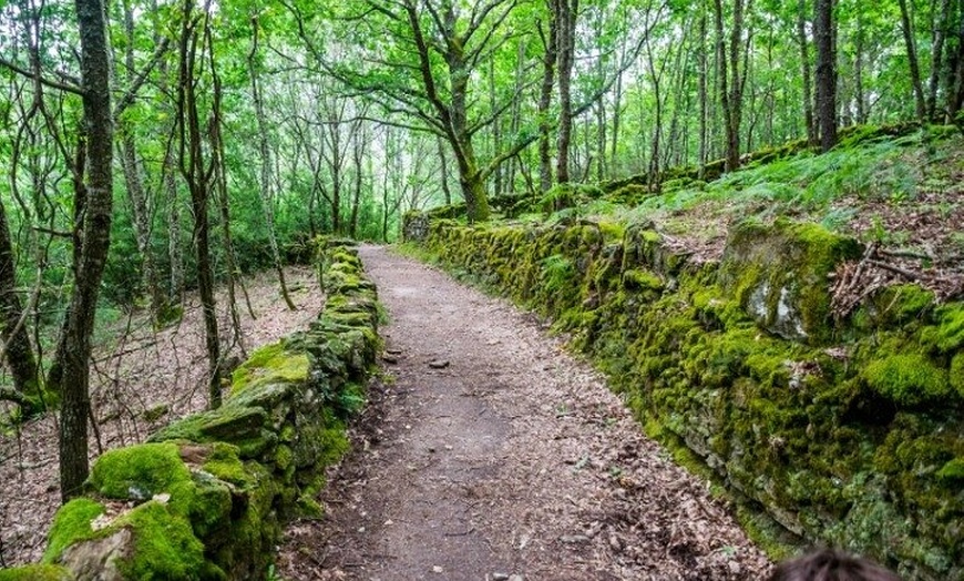 Image 22: Camino a Finisterre: Una Experiencia Inolvidable
