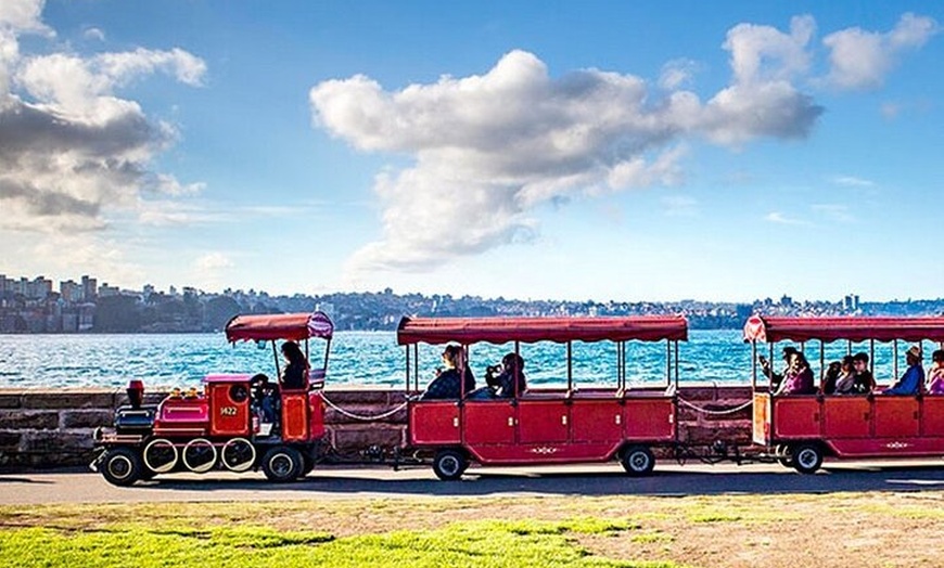 Image 1: Explore Sydney's Botanic Gardens In a Series of Fun Cryptic Clues