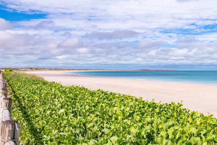 Panoramic Sightseeing Bus Tour - Discover Broome!