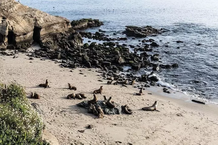 San Diego Scenic Tour