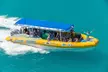 Ocean Rafting: Whitehaven Beach, Snorkelling & Hill Inlet Lookout - Image 2