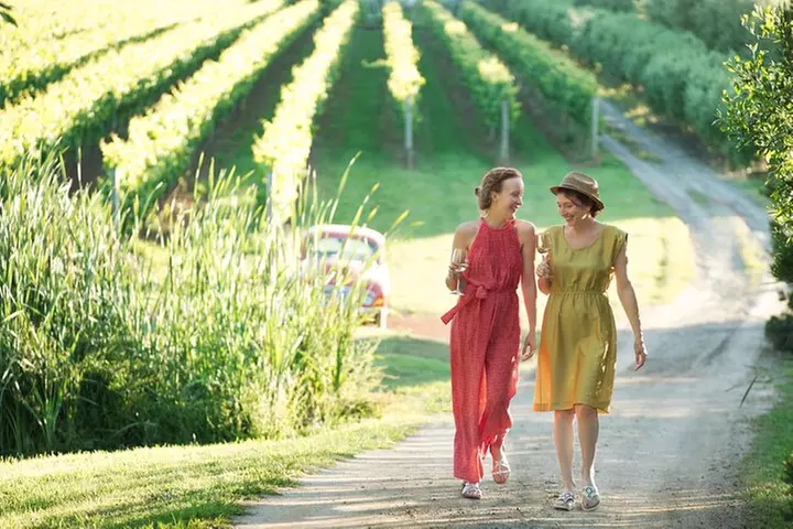 Montalto Vineyard: Mornington Peninsula Discovery Wine Tasting and ...